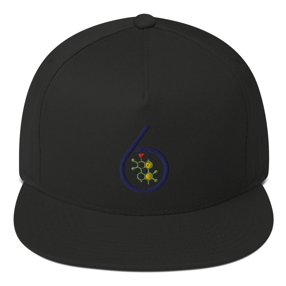 6 PEN LOGO Flat Bill Cap