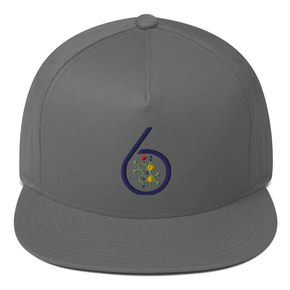 6 PEN LOGO Flat Bill Cap