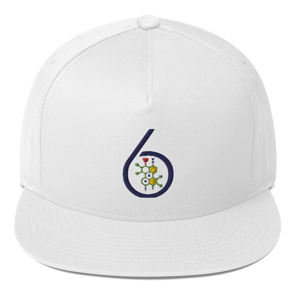 6 PEN LOGO Flat Bill Cap